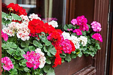 动漫风《刀锋王子学院》公布 现代元素的战术策略RPG